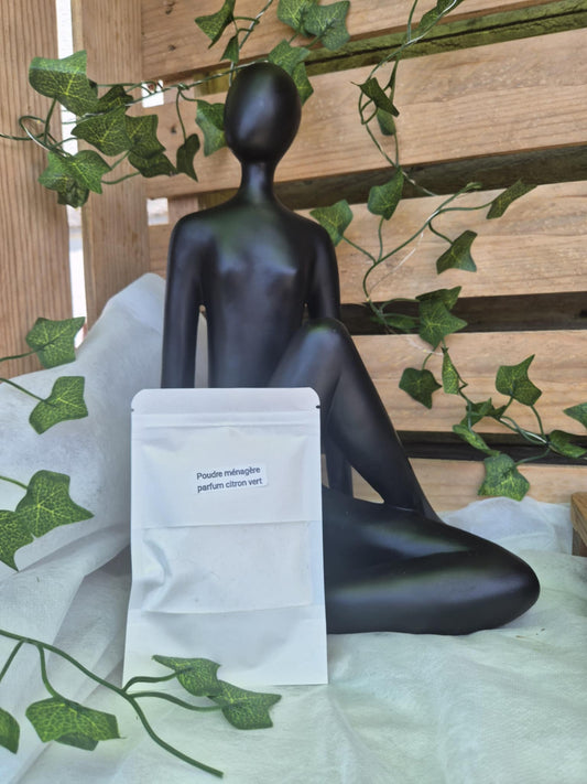 Poudre Ménagère Parfum Citron Vert